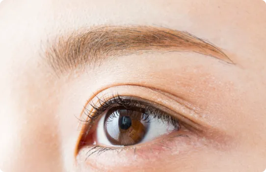 二重まぶた・目元全般